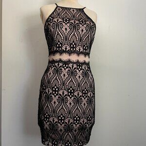 Black Lace Overlay Sleeveless Bodycon Dress